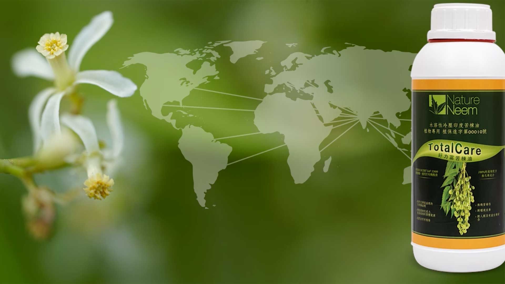 Nature Neem Presenza Globale