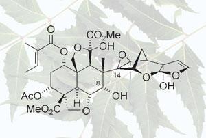 Azadirachtine
